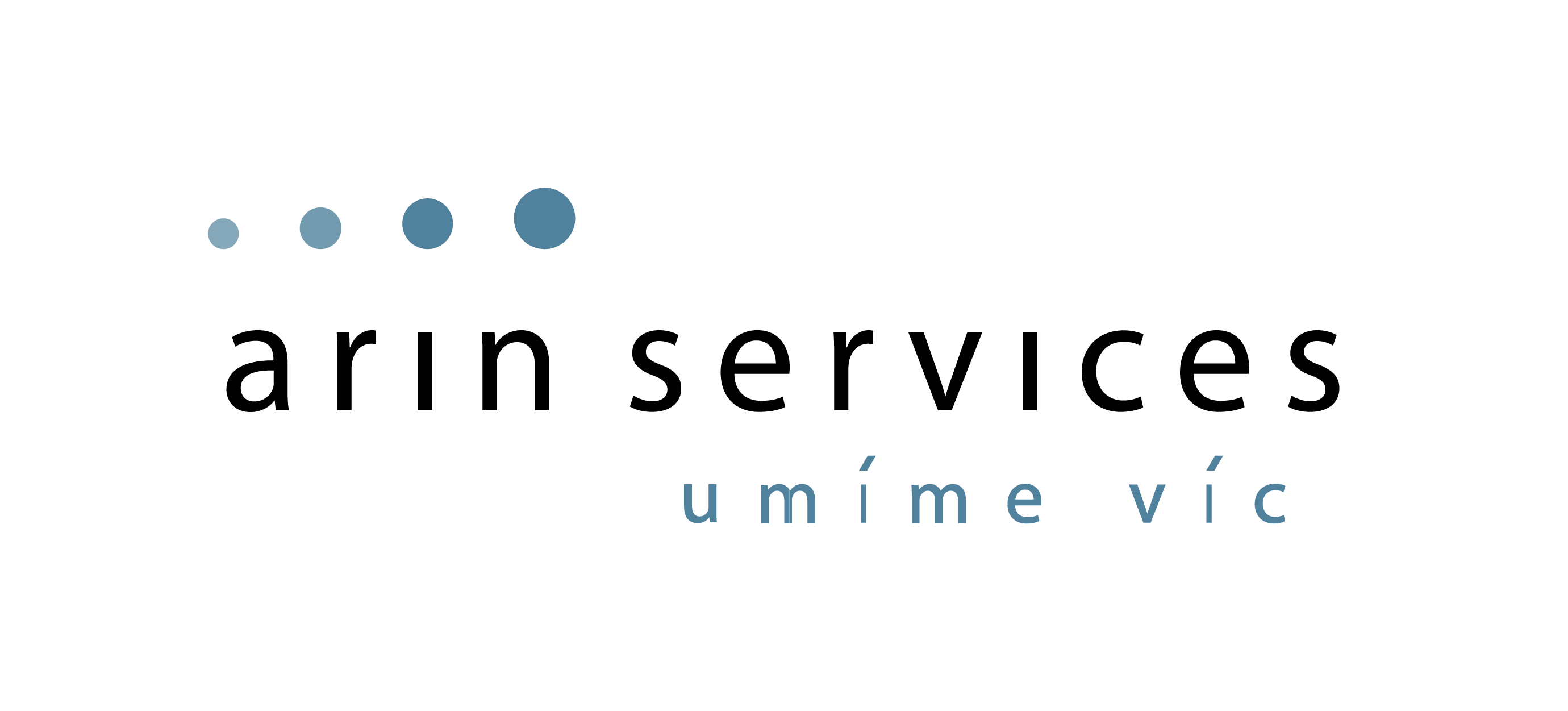Arin Services logo